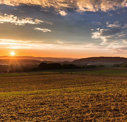 Les Copains sceglie Wospee per ottimizzare la gestione delle paghe - Wospee